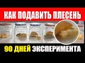 Длительное Хранение Продуктов. Как Подавить Плесень и Бактерии