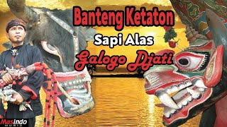 Jaranan Banteng Edan - Sapi Alas GALOGO DJATI - Tumpang Malang