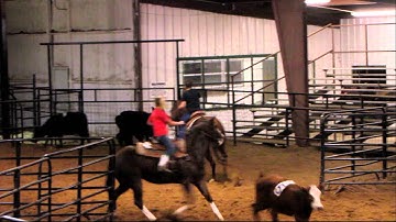 Snort N Avenger - Avery - 11/7/12 sorting practice 2 - Valley View Ranch