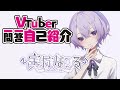 【自己紹介】VTuber一問一答自己紹介【\#宝掟なつる】