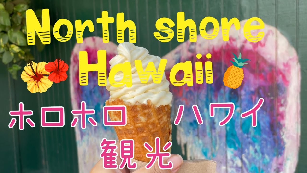 ハワイで見つけたびっくりドンキーに美味しいアイスクリーム Puananiのhawaiiなお仕事