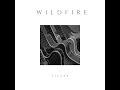 Ziczak  wildfire