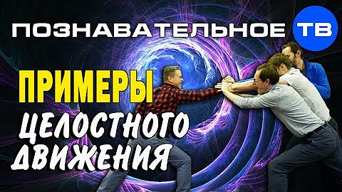 Целостное движение. Система целостного движения. Целостное движение. Книга про целостное движение. Целостное движение.
