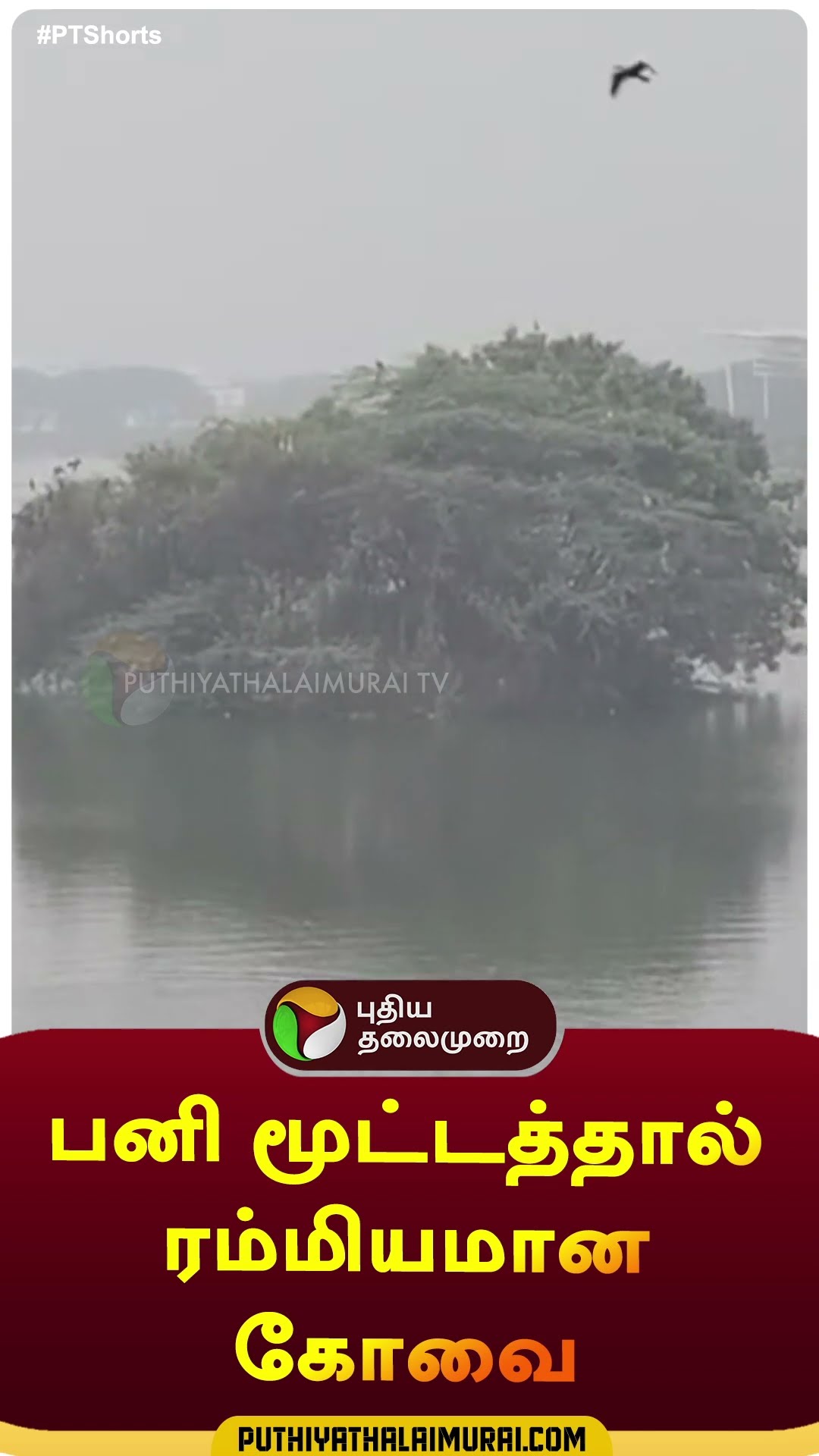 பனி மூட்டத்தால் ரம்மியமான கோவை | #shorts | #mist | #coimbatore