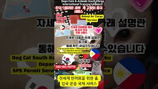 강아지 고양이 필리핀 세부 마닐라 클락외전지역 출국 검역 SPS 허가 서비스 Dog Cat South Korea Philippine Cebu Departure Service#쇼츠