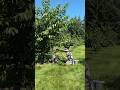 Hala Ano Gawa Nio Canada Kelowna Philippines Canadalife Hala Ano Gawa Nio Canada Kelowna Philippines Canadalife