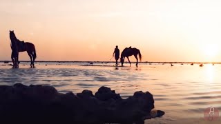 Если ты чувствуешь себя одиноко.