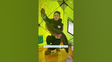 Gái xinh câu cá hồ băng va phải con thủy quái và cái kết  #fishing #cauca #short