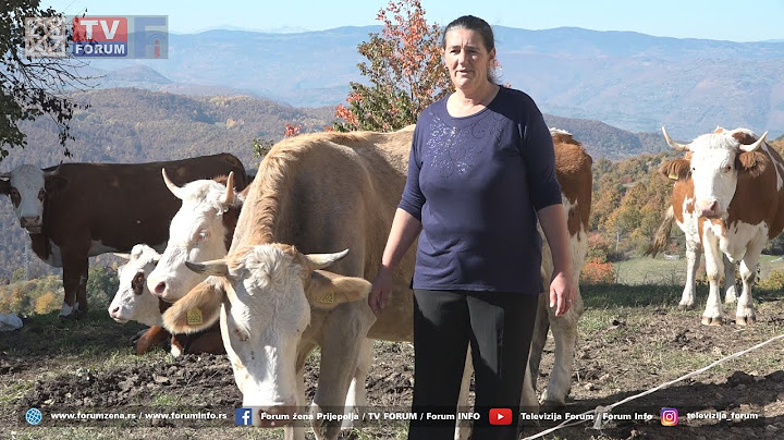 Selma Hajdarević iz Kaćeva: Bavljenje stočarstvom je velika obaveza, ali i ljubav