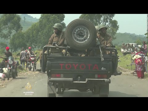 Video: Dva rata