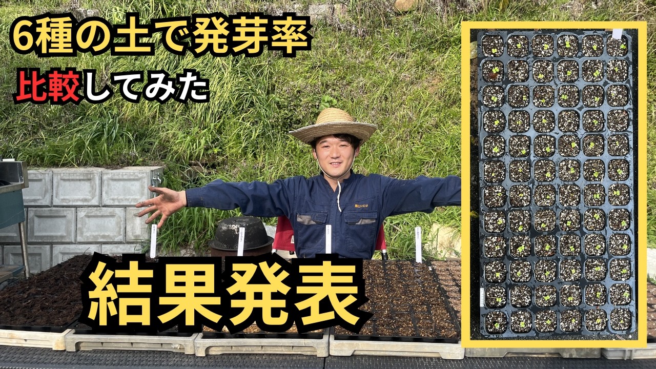 Results Announcement] Differences in Germination Rates After One