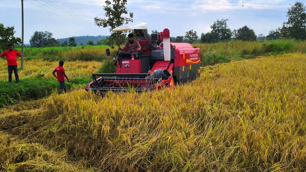 Mahindra paddy harvester 2100 88 hp || Combine Harvester 