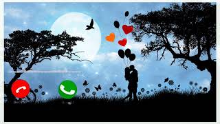 Royi Na Jo Yad I Hai Tone Video Mr Kabir