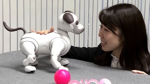 Sony Debuts Next Gen Robotic Pup