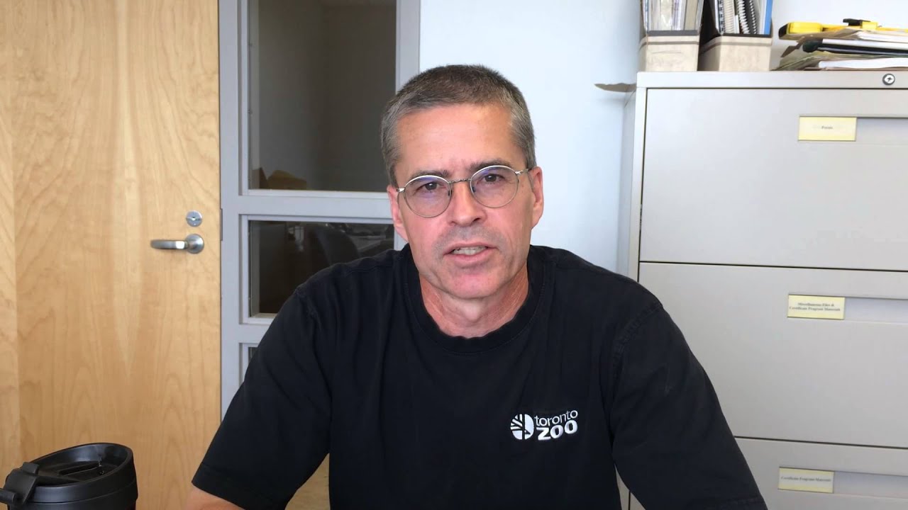 Dr Malcolm McAdie talks about Marmots