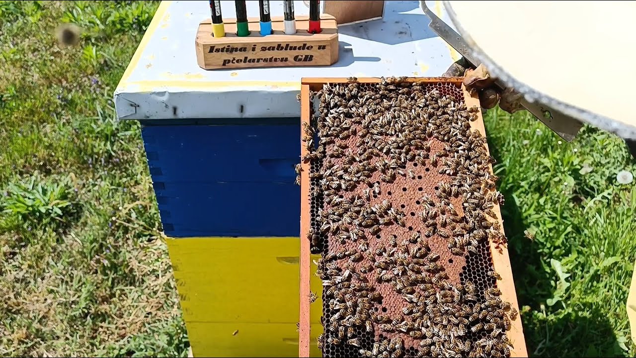 ČOVJEK!!! Mislimo da smo pametni