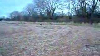 Trail Hunting by followhounds 3,977 views 16 years ago 30 seconds