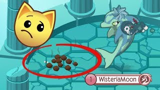 HOW IS THIS ALLOWED IN ANIMAL JAM?!