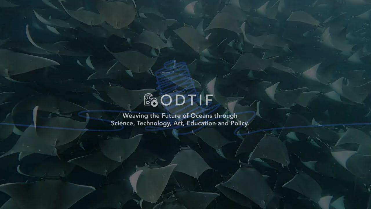 OCEAN LITERACY ODTIF Joins the UNESCO-IOC 'Blue Thread' Network 해양을 위한 모든 공동체의 노력이 절실합니다.