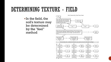 Soil Physical Properties