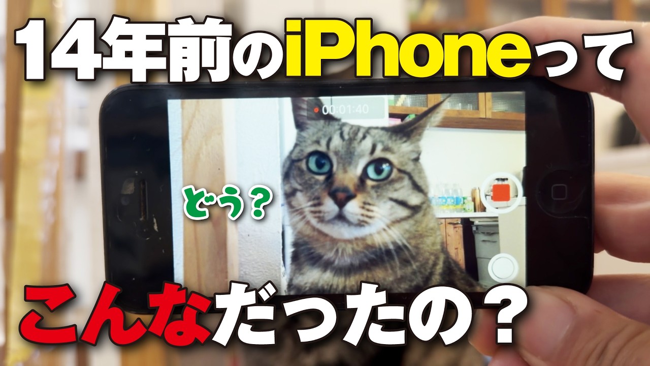 【最新のiPhone17proと比較】14年前のiPhoneで猫を撮ったら画質がエモすぎた…