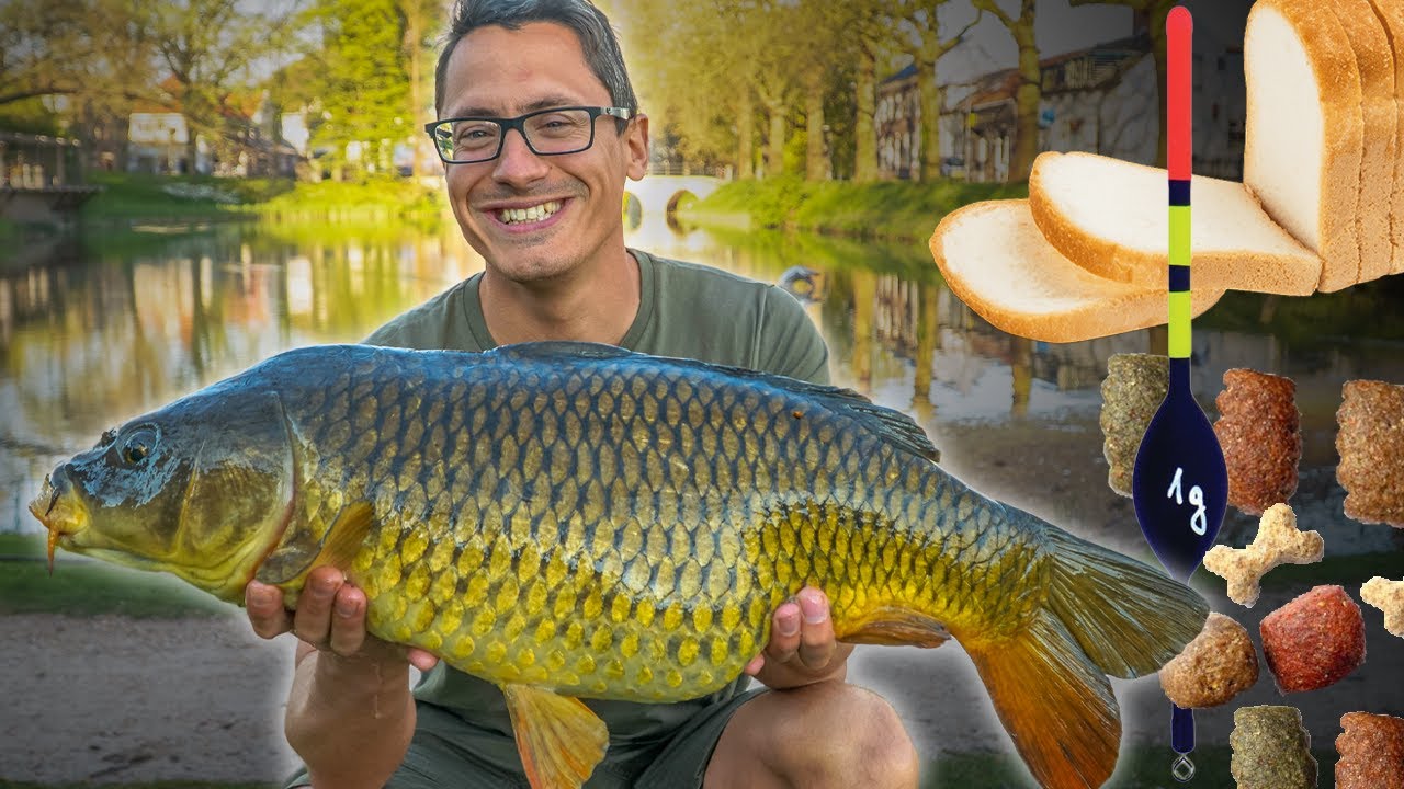 Karpervissen met de pen en broodkorst in Zeeland