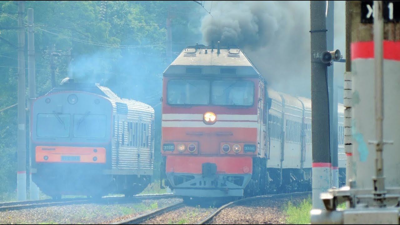 Смоленск адлер поезд 2024 год