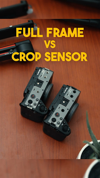 Full Frame Vs. Crop Sensor Cameras. Which one are you picking #sonyalpha #sonyfx3