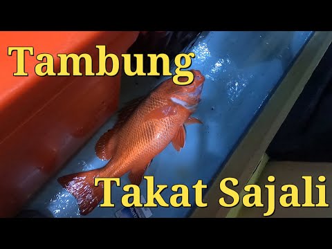 Sabah Deep Sea Fishing | Takat Sajali | Pulau Mengalum (Borneo Seamaster 2) Captain Adzmie