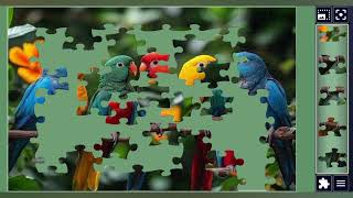 Vabrant Parrot party on a Branch🌈🦜🦜||puzzles Game🧩||puzzles Craft🧩|| screenshot 3