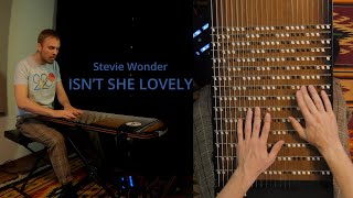 Video thumbnail of "Stevie Wonder - Isn't She Lovely on the harpejji k24"