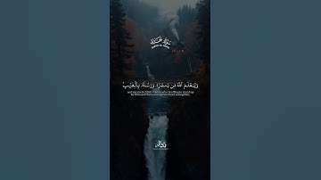 وَلِيَعْلَمَ اللهُ مَن يَّنْصُرُهُ || طارق محمد || من سورة الحديد