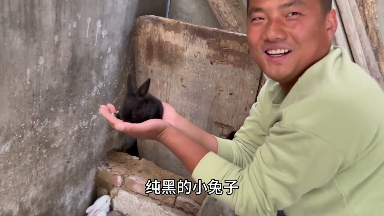 老公在鸭棚喂鸭子，突然听见灶台底下有动静，扒开一看太惊喜