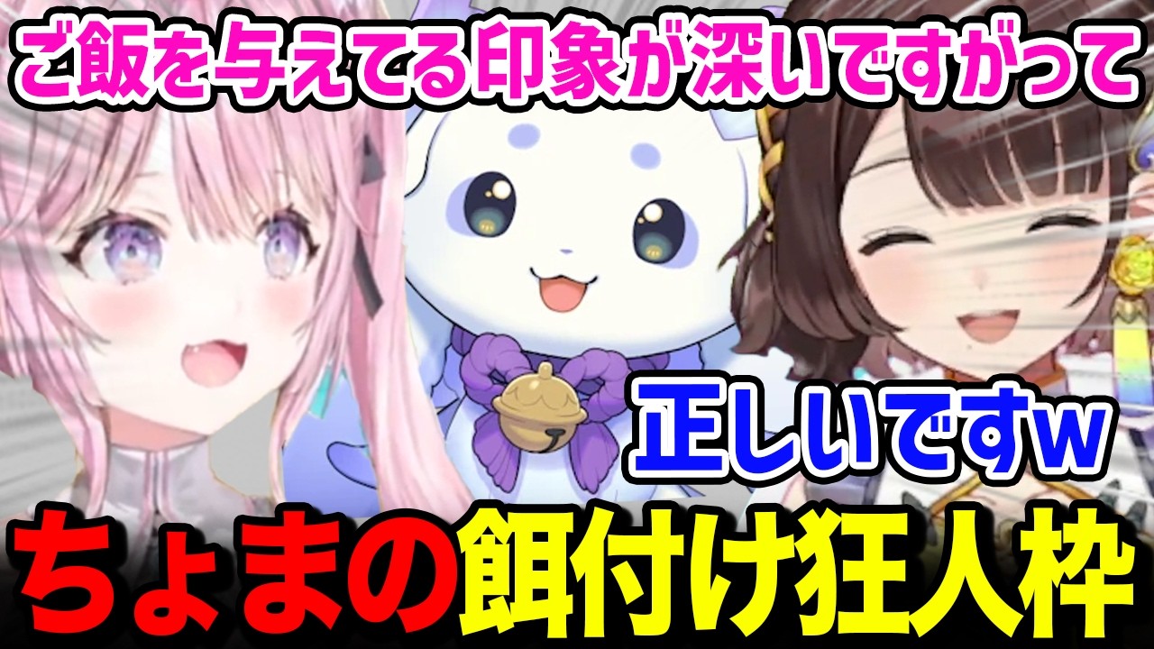 ちょまの餌付け役、あやかきの狂人枠として視聴者達に認識されているしがりこｗ【博衣こより / 司賀りこ / ホロライブ / にじさんじ】