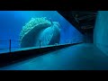 I visited Japan's most thrilling abandoned station, ‘Abyss Ocean Station’.