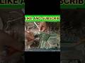 Amplifier Repair Alteck #shortvideo #shorts #short #kbrepaingcenter #viralvideo#youtubeshorts