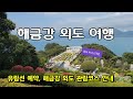 거제도 해금강 + 외도 보타니아 3시간 힐링 코스 | 아름다운 기암괴석과 이국적인 정원