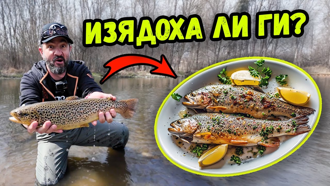 ПРОВЕРИХ: Оцеляха ли пъстървите на Искър-София? Риболов на пъстърва на нимфа