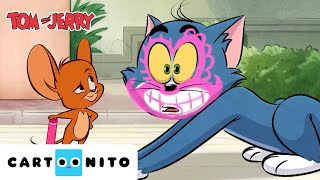 Creative Fun with Tom & Jerry Playlist | Tom and Jerry | Cartoonito
