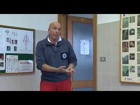 Video: Pronto Soccorso Per Fratture