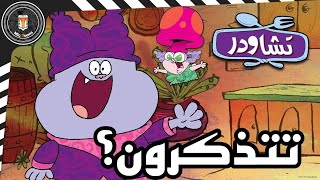 تتذكرون تشاودر ؟