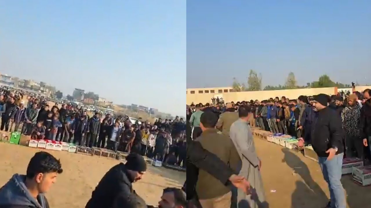 فكه حيدر السوداني من الخان جعص شوفو لطيور شكد جابو عليه