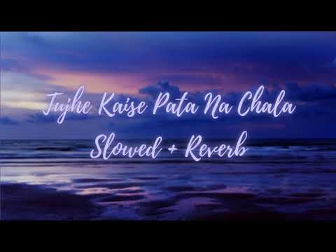 Tujhe Kaise Pata Na Chala - Slowed + Reverb