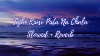 Tujhe Kaise Pata Na Chala - Slowed   Reverb