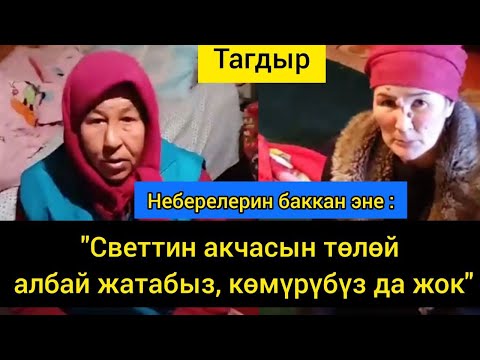 Video: Жеке ишкер жана патент тутуму