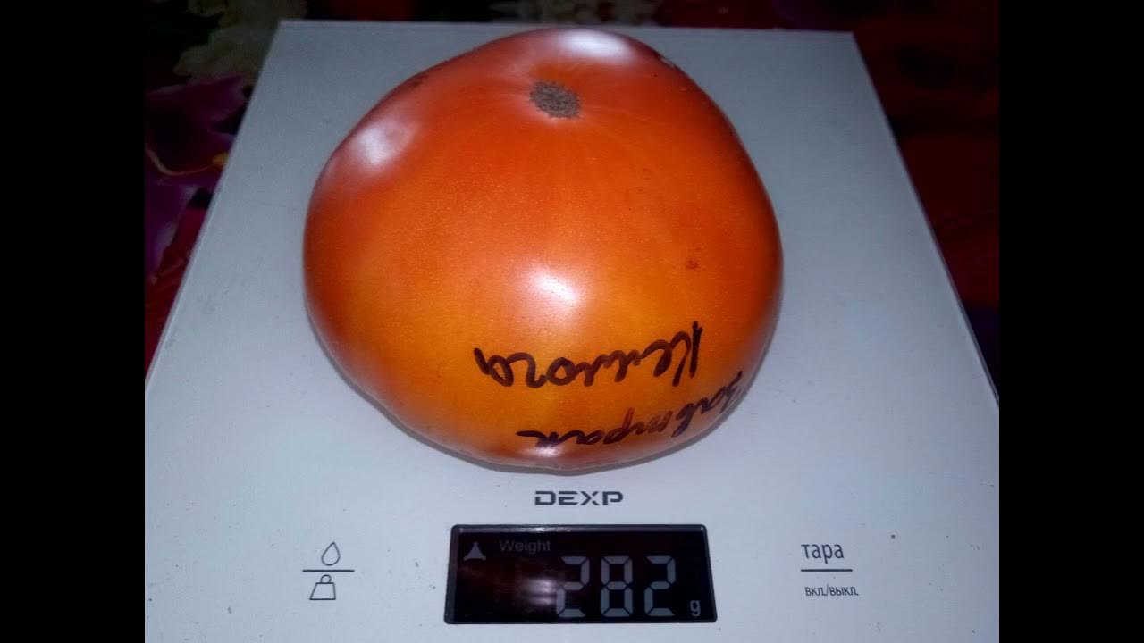 Томат Завтрак Келлога Kellogg`s Breakfast - YouTube