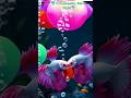 Virtual Reality Betta Fish - The Fight of the Century🐠#shorts #shortsfeed #viral #youtube #aquarium