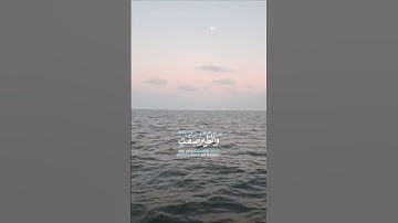 سورة النور ♡ عبد الباسط عبد الصمد ♡ (الآية 41)