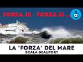 La forza del vento sul mare (da 0 a 12),  la Scala Beaufort