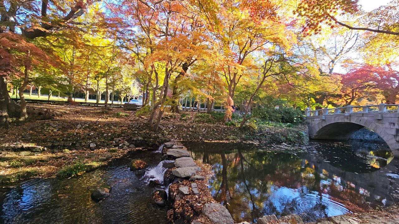 환상의 단풍 길